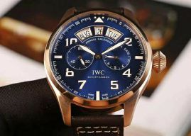 Picture of IWC Watch _SKU1794750997021532
